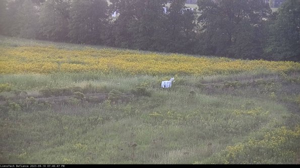 Cell 2 to 3_23-09-10_19-40-47-89