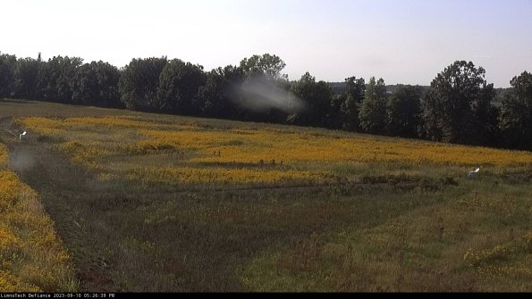 Cell 2_23-09-10_17-26-39-83