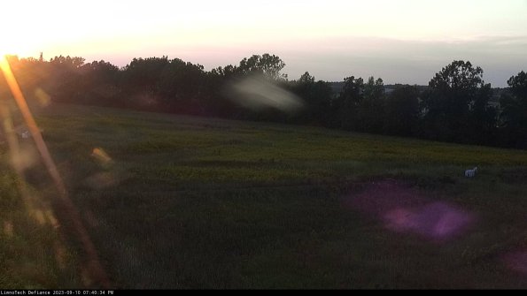 Cell 2_23-09-10_19-40-34-84