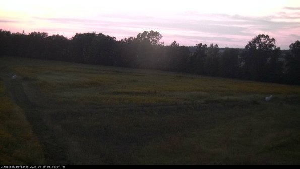 Cell 2_23-09-10_20-14-04-80