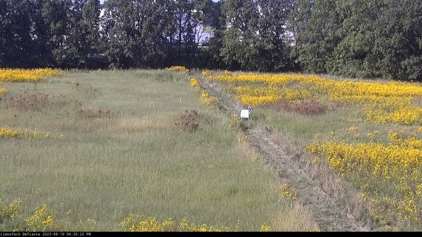 Cell 3 to 4_23-09-10_16-20-23-80