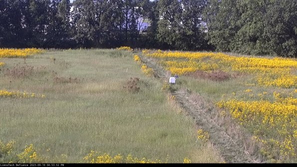 Cell 3 to 4_23-09-10_16-53-52-78