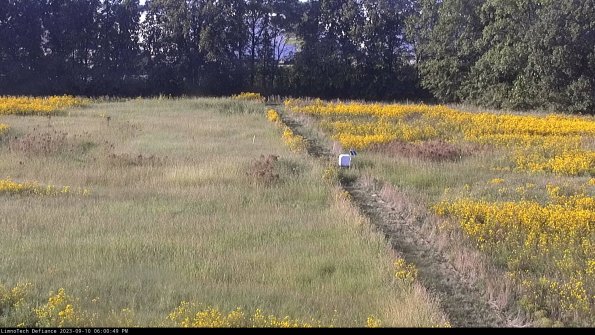 Cell 3 to 4_23-09-10_18-00-49-79