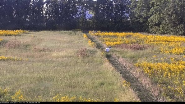 Cell 3 to 4_23-09-10_18-34-18-81