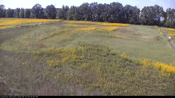 Cell 3_23-09-10_16-20-09-78