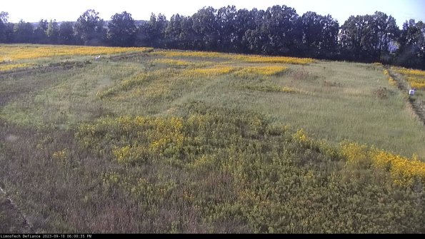 Cell 3_23-09-10_18-00-35-81