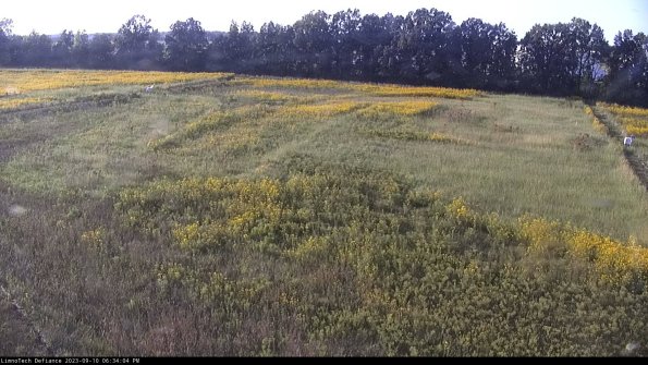 Cell 3_23-09-10_18-34-05-03