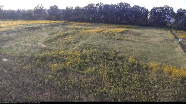 Cell 3_23-09-10_19-07-34-08