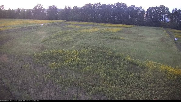 Cell 3_23-09-10_19-41-02-80