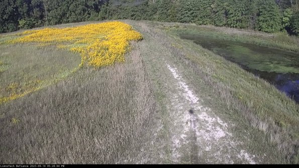 Cell 4 to Basin_23-09-10_17-28-04-81