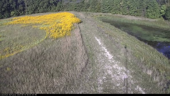 Cell 4 to Basin_23-09-10_18-01-33-80