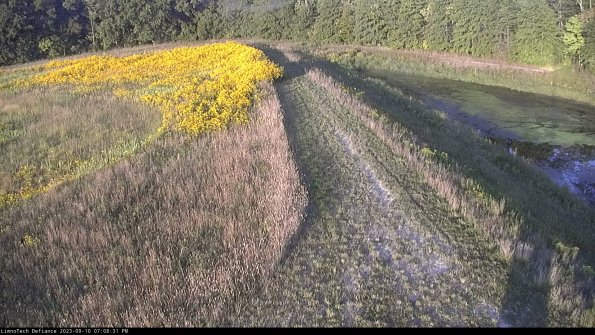 Cell 4 to Basin_23-09-10_19-08-31-81