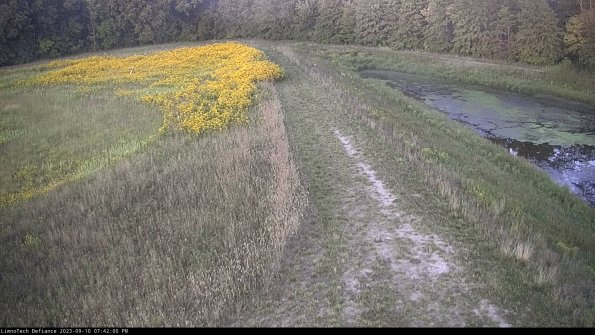 Cell 4 to Basin_23-09-10_19-42-00-80