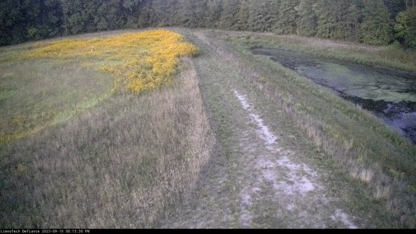 Cell 4 to Basin_23-09-10_20-15-30-82