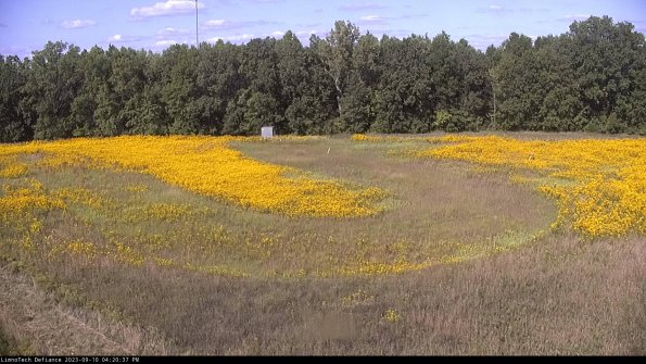 Cell 4_23-09-10_16-20-37-78