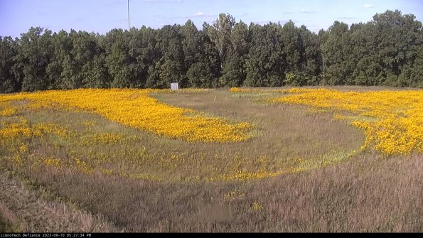 Cell 4_23-09-10_17-27-34-78