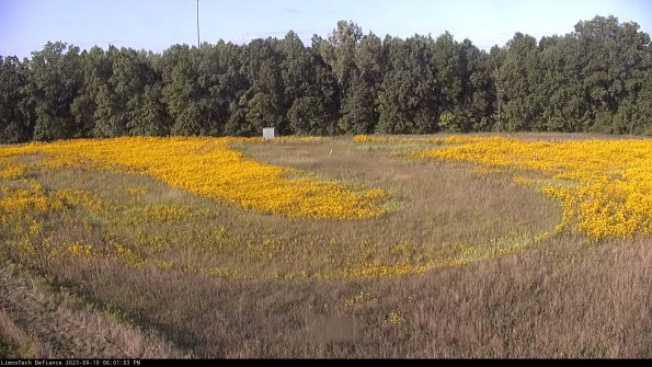 Cell 4_23-09-10_18-01-03-80