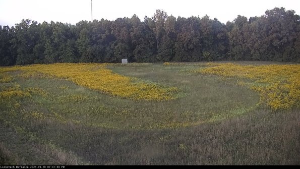 Cell 4_23-09-10_19-41-30-80