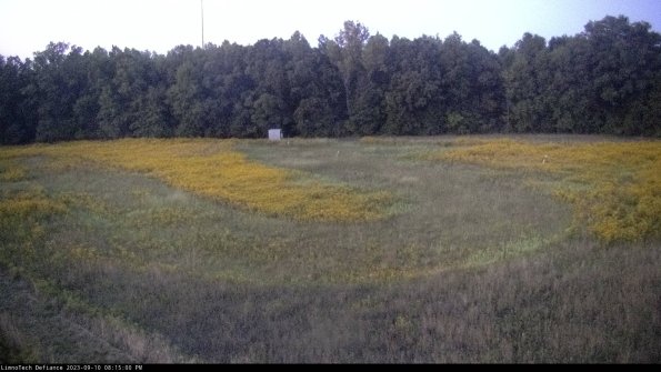 Cell 4_23-09-10_20-15-00-82