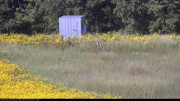 Outlet_23-09-10_16-54-21-78