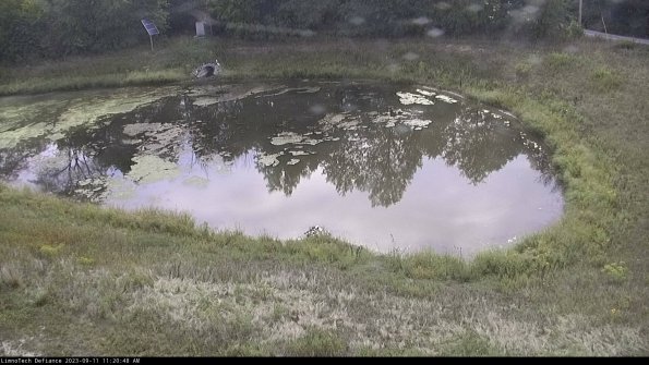 Basin Right_23-09-11_11-20-48-83