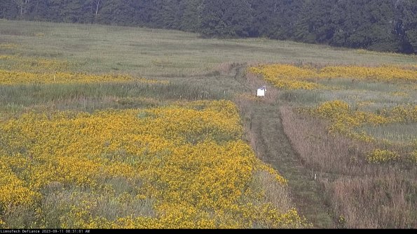 Cell 1 to 2_23-09-11_08-31-01-78