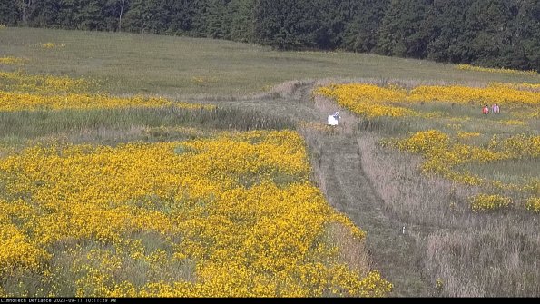 Cell 1 to 2_23-09-11_10-11-29-78