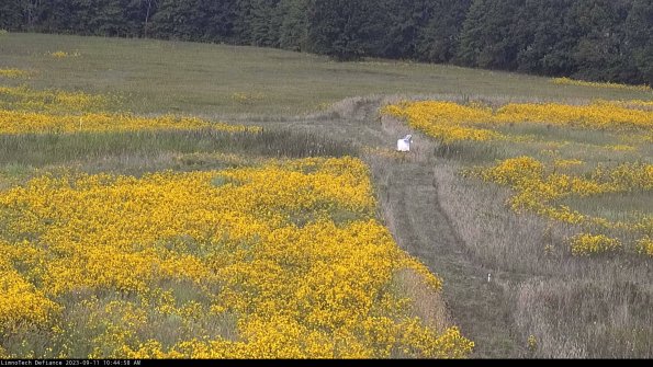 Cell 1 to 2_23-09-11_10-44-58-80