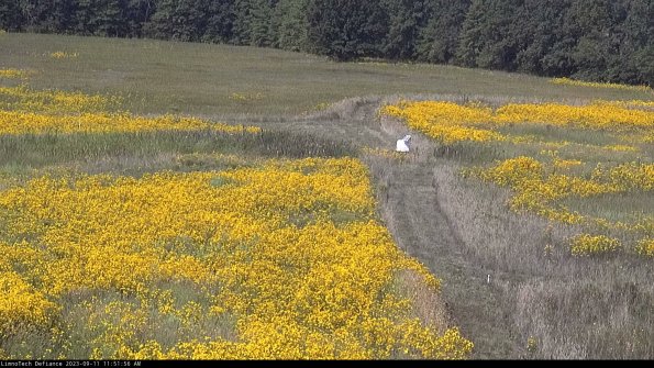 Cell 1 to 2_23-09-11_11-51-56-80