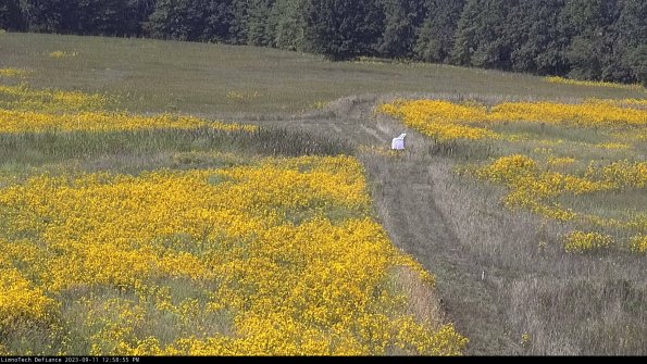 Cell 1 to 2_23-09-11_12-58-55-81