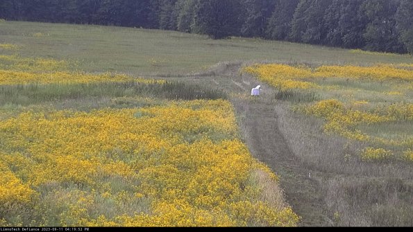 Cell 1 to 2_23-09-11_16-19-52-80