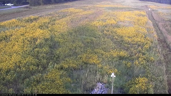 Cell 1_23-09-11_07-57-16-81