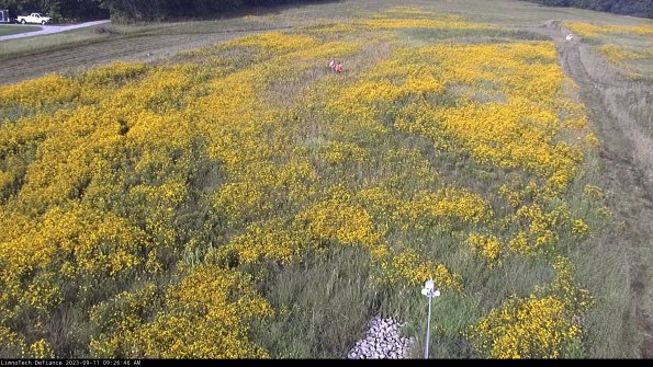 Cell 1_23-09-11_09-26-46-81