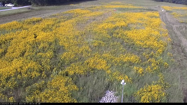 Cell 1_23-09-11_09-37-45-81