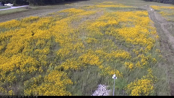 Cell 1_23-09-11_10-11-15-80