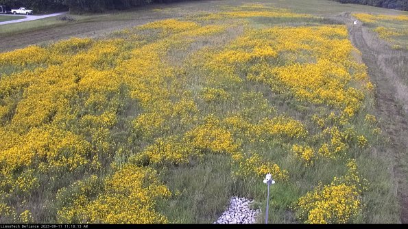 Cell 1_23-09-11_11-18-13-80