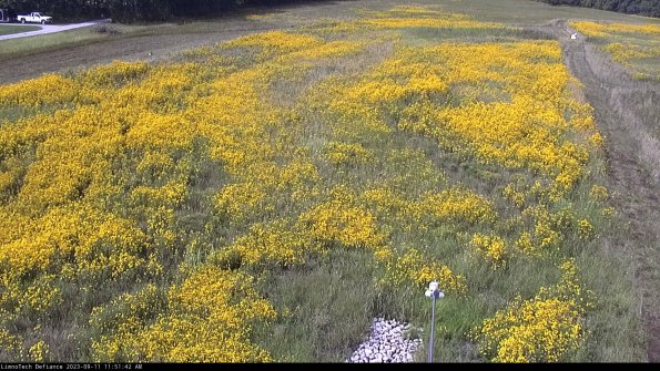 Cell 1_23-09-11_11-51-42-79