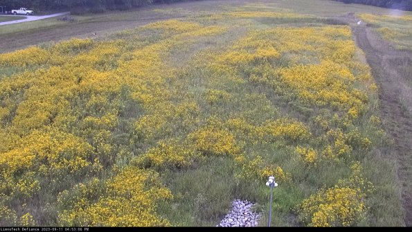 Cell 1_23-09-11_16-53-06-80