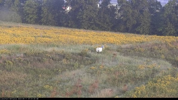 Cell 2 to 3_23-09-11_07-57-56-92