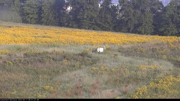 Cell 2 to 3_23-09-11_08-31-27-87