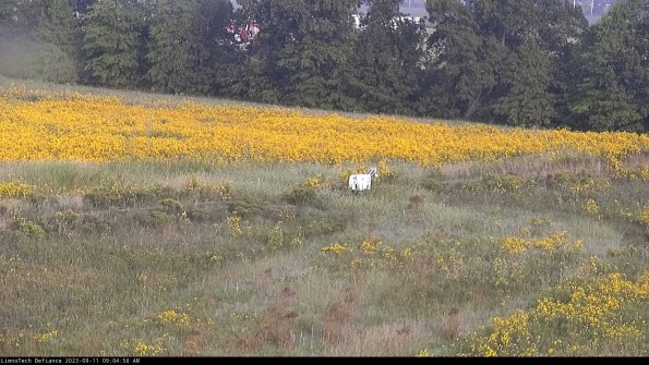 Cell 2 to 3_23-09-11_09-04-56-99