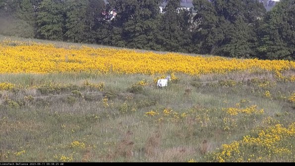 Cell 2 to 3_23-09-11_09-38-26-02