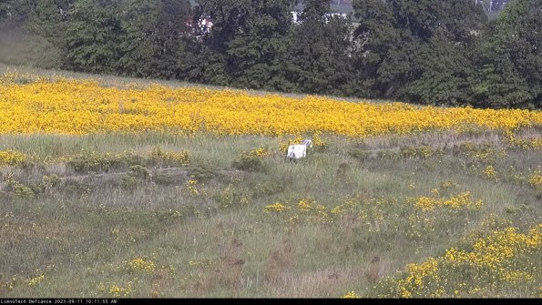 Cell 2 to 3_23-09-11_10-11-55-80