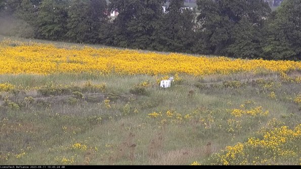 Cell 2 to 3_23-09-11_10-45-24-96