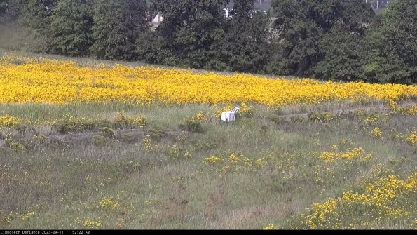 Cell 2 to 3_23-09-11_11-52-22-86