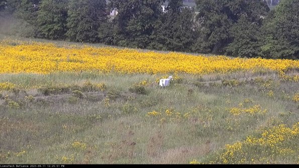 Cell 2 to 3_23-09-11_12-25-51-95