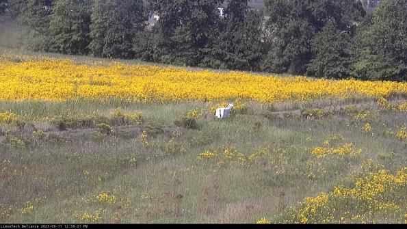 Cell 2 to 3_23-09-11_12-59-21-90