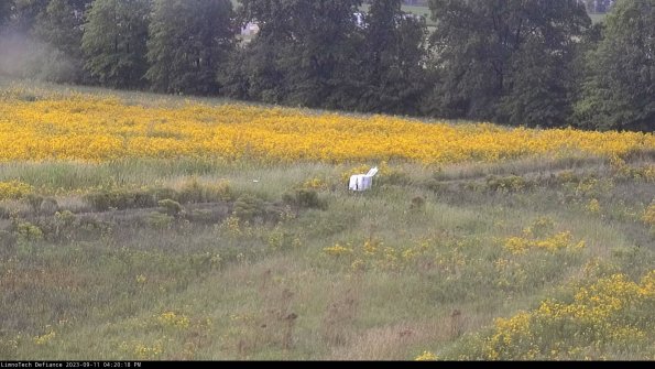 Cell 2 to 3_23-09-11_16-20-18-83