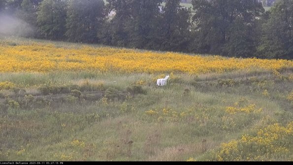 Cell 2 to 3_23-09-11_17-27-15-90