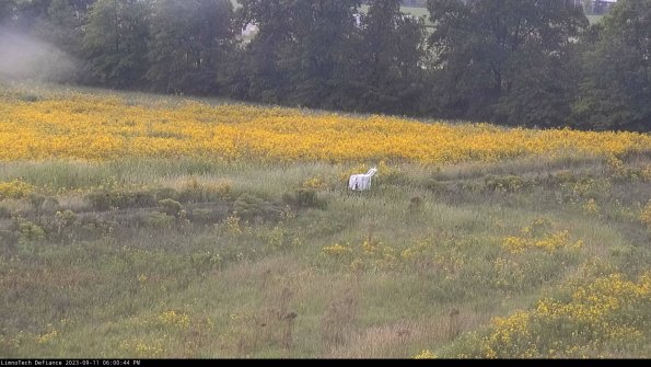 Cell 2 to 3_23-09-11_18-00-44-82